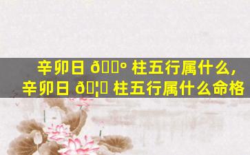 辛卯日 🌺 柱五行属什么,辛卯日 🦆 柱五行属什么命格